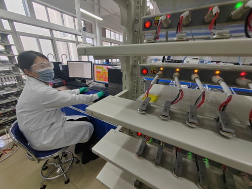 中國(guó)首創(chuàng)！洛陽(yáng)牡丹殼變廢為寶，開啟鈉電池負(fù)極材料新紀(jì)元